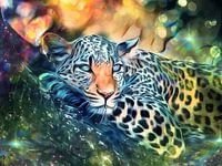 Léopard Chat sauvage Panthère Féline Jungle