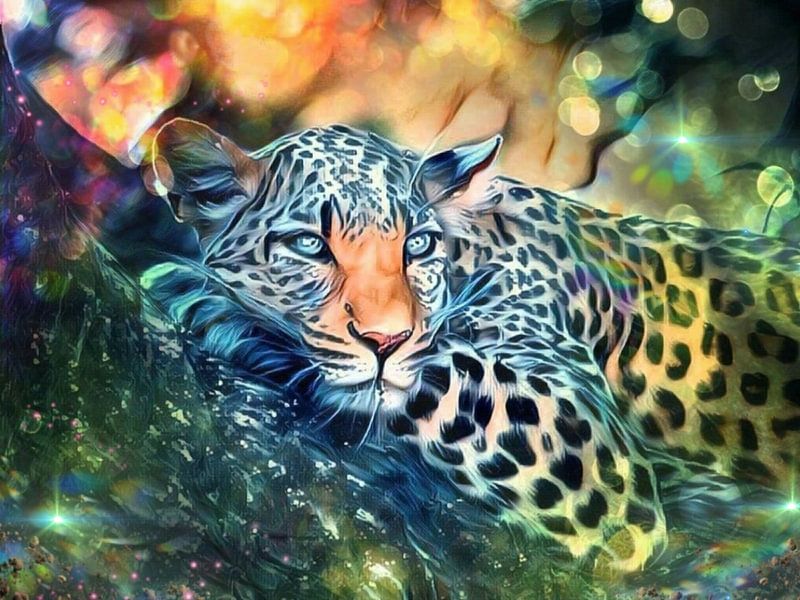 Leopard Wildkatze Panther Raubkatze Katzen Dschungel von Beate Braß