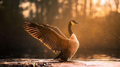 Goose with open wings
