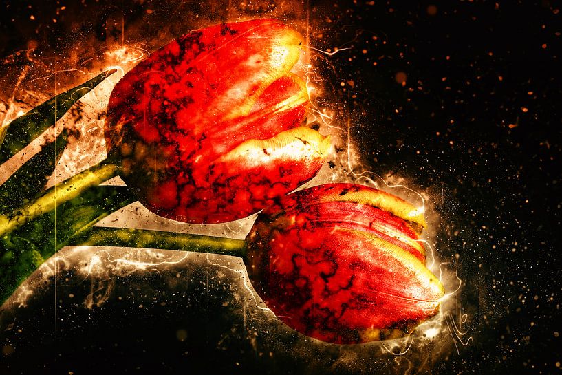 two tulips von Dagmar Marina