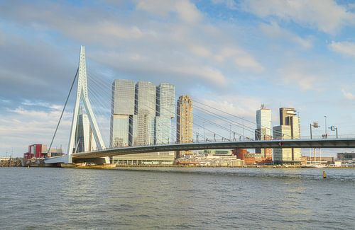 Erasmus Bridge Rotterdam (Netherlands)