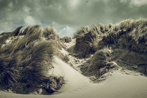 Blumenstillleben für Mutter