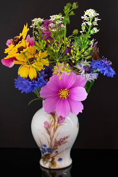 Vase avec des fleurs d'été sur fond noir.