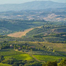 Het sprookjesachtige Toscane in Italië van Michel Geluk