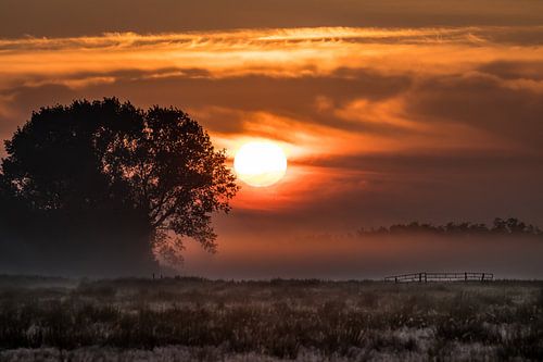 Zonsopkomst bij Grou