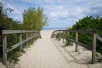The road to the beach
