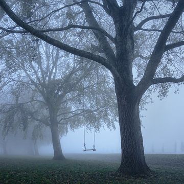 Bäume mit verlassener Schaukel | Landschaftsfotografie im Nebel | Mysteriös von Marijn Alons