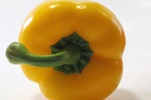 Gelbe Paprika