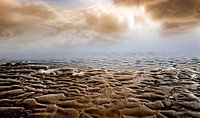 nederlandse kust