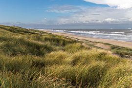 View of the North Sea from the dunes by Yanuschka | Fotografie Noordwijk
