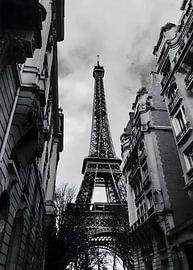Black and White Eiffel Tower Framed by Classic Paris Buildings by Resin Std