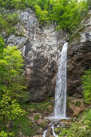 Wildensteiner Wasserfall in Österreich im Frühling von Sjoerd van der Wal Fotografie