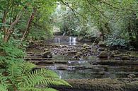 Fowley's Falls in Ierland van Babetts Bildergalerie thumbnail