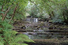 Fowley's Falls in Ireland