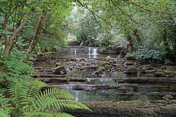 Fowley's Falls in Ierland van Babetts Bildergalerie