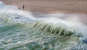 1138 Promener le chien sur Adrien Hendrickx