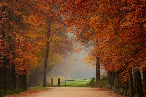 Omarming van de Herfst