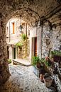 Steegje in Isolabona, Italië van Ellis Peeters thumbnail