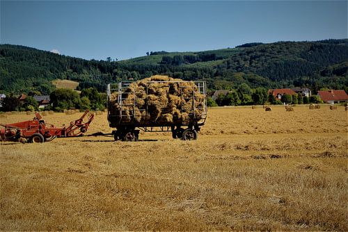 "Haymaking"
