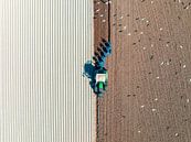 Tractor bereidt de grond voor op het planten van gewassen van Sjoerd van der Wal Fotografie thumbnail