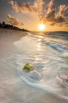 Coucher de soleil Maldives sur Markus Busch