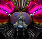 The Artificial Fly/ Kunstvlieg van Rudi Lippi thumbnail