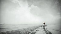 Snowblizzard - Iceland