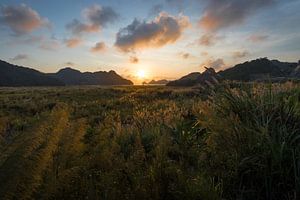Coucher de soleil doré sur l'île de Cát Bà - Baie d'Ha Long, Vietnam sur Thijs van den Broek