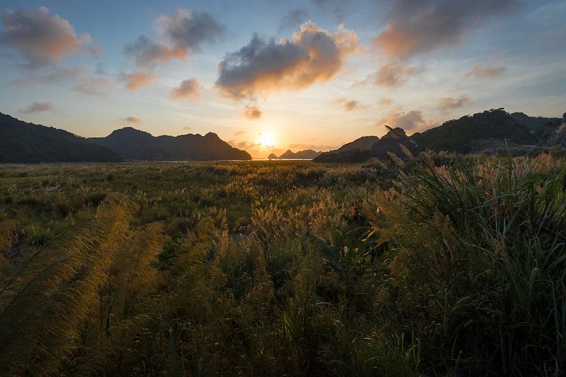 Golden sunset at Cát Bà Island - Ha Long Bay, Vietnam by Thijs van den Broek
