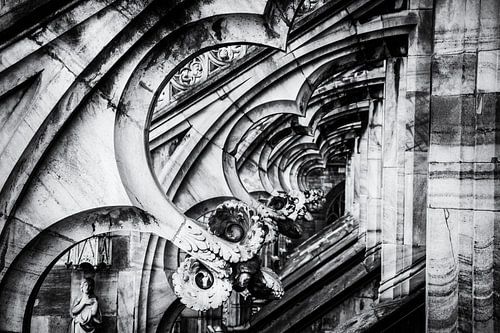 Rooftop Details - Milan Cathedral in Black and White