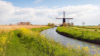 Kleurrijk typisch Nederlands landschap met molen in de lente van Ruud Morijn thumbnail