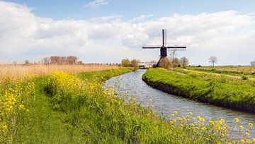 Bunte typisch niederländische Landschaft mit Windmühle im Frühjahr