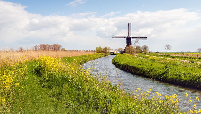 Kleurrijk typisch Nederlands landschap met molen in de lente van Ruud Morijn