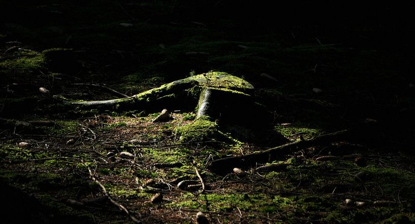 alone in the dark von wouter De Prins