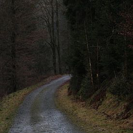 Mysterieus en spookachtig donkere weg van UN fotografie