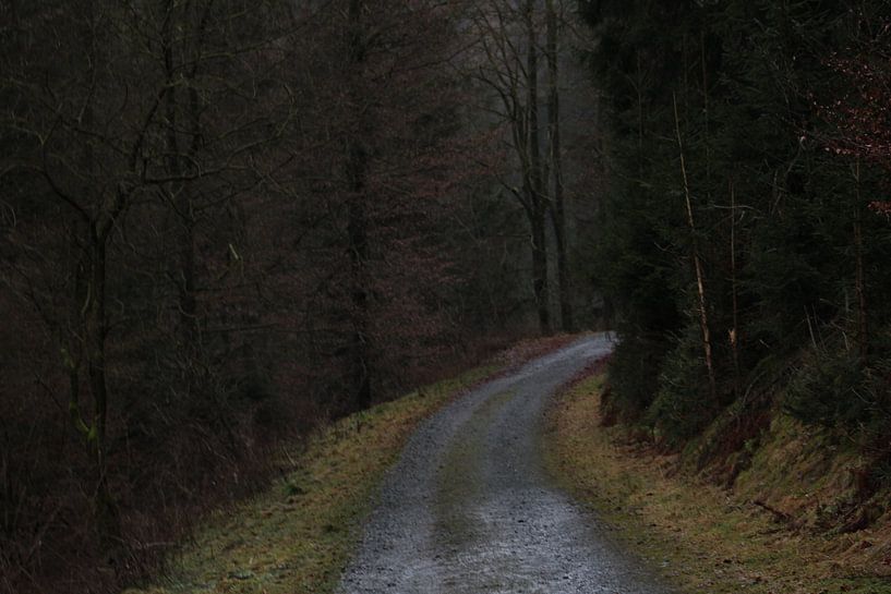 Mysterieus en spookachtig donkere weg van UN fotografie