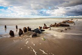 Die Ostseeküste bei Kühlungsborn an einem stürmischen Tag