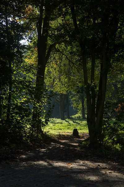 Westerpark in Zoetermeer van Ton Van Zeijl