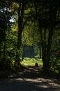Westerpark in Zoetermeer van Ton Van Zeijl thumbnail