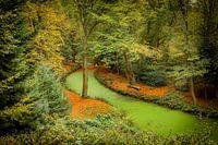 Herbst auf dem Landgut Fraeylemaborg, Groningen