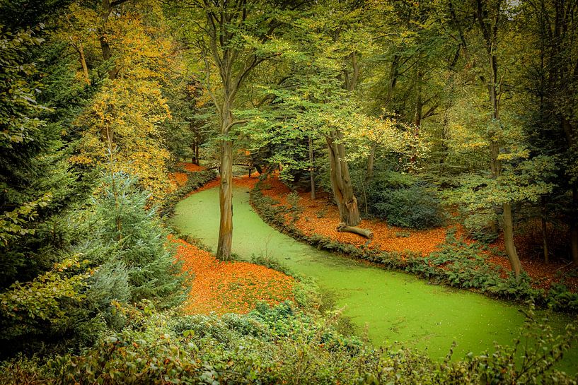 Herbst auf dem Landgut Fraeylemaborg, Groningen von Merel Pape Photography