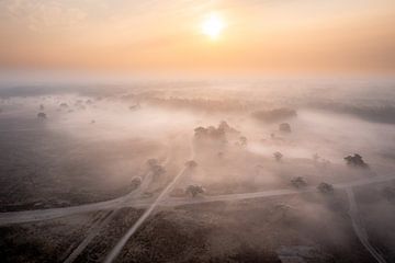 Mistige Heide ontwaakt van Koen Boelrijk Photography