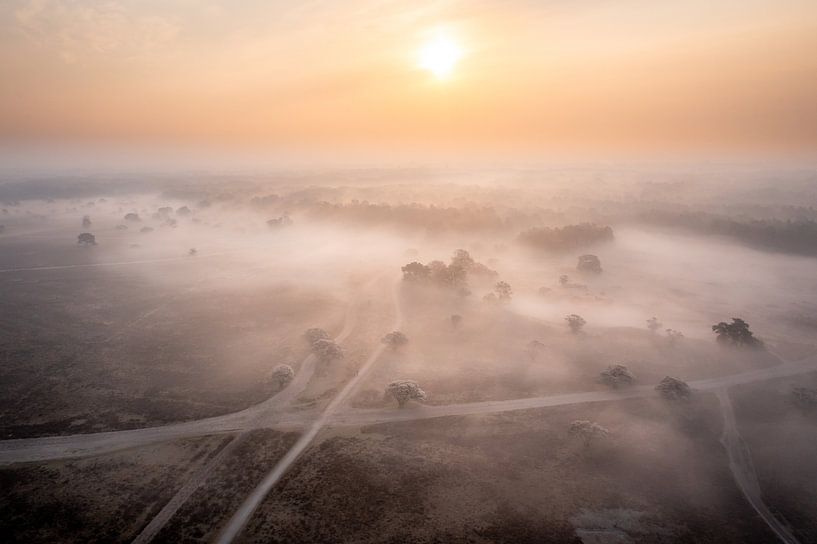 Misty heather awakens by Koen Boelrijk Photography