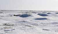 Winter op Terschelling
