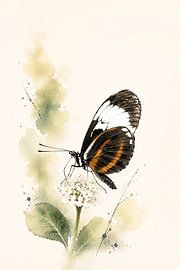 Dance of Shadows by Marleen van Meurs