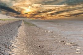 Sunset on the coast during Eb by Brian Morgan