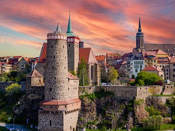 Uitzicht op de oude stad Bautzen in Saksen van Animaflora PicsStock