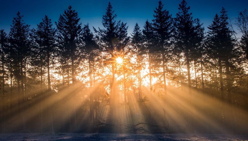 Magic morning by Marloes ten Brinke