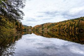 Nussensee Österreich im Herbst von Esmé Gernette
