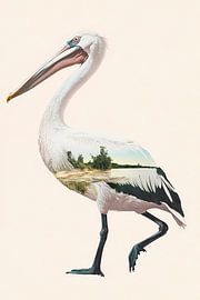 Fantasierijke pelikaan van Poster Art Shop